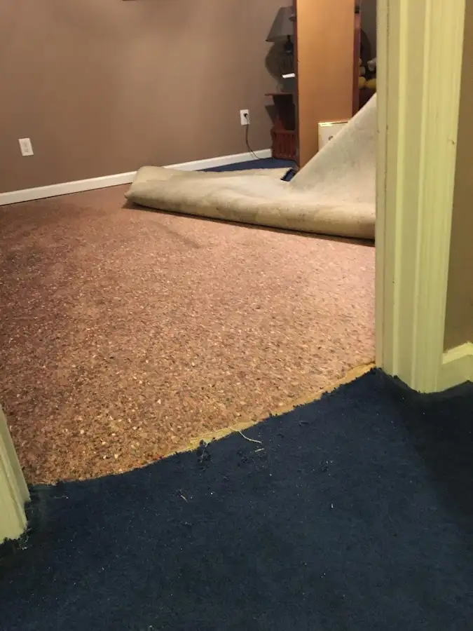 Carpet pad removal revealing water damage during Drying & Dehumidification in Forest Park