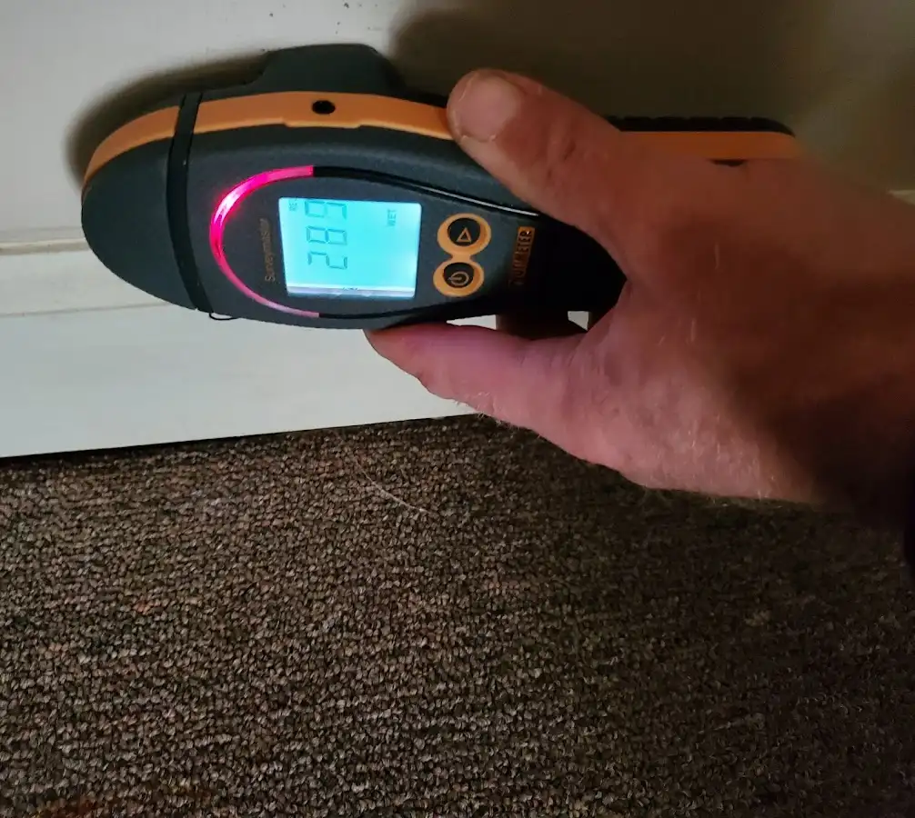 Moisture detection at baseboard during Storm Damage Restoration in Forest Park